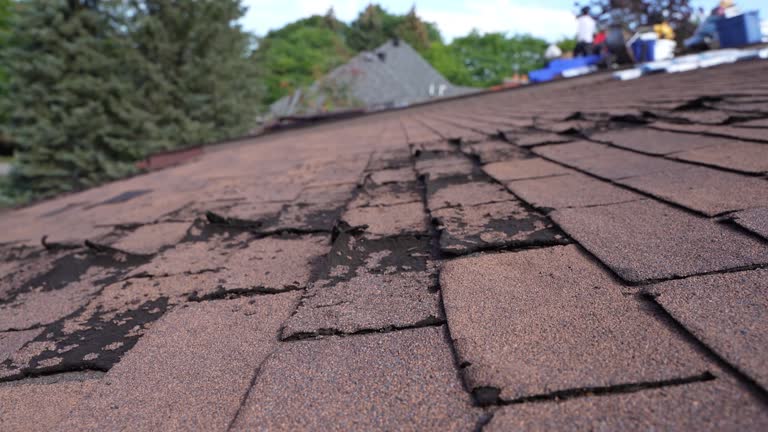 Best Sheet Metal Roofing  in Hurstbourne, KY